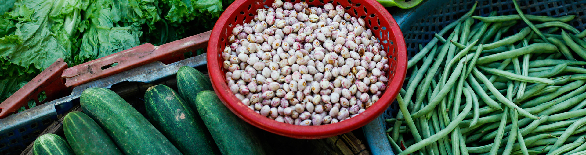 Nutrición funcional LINF